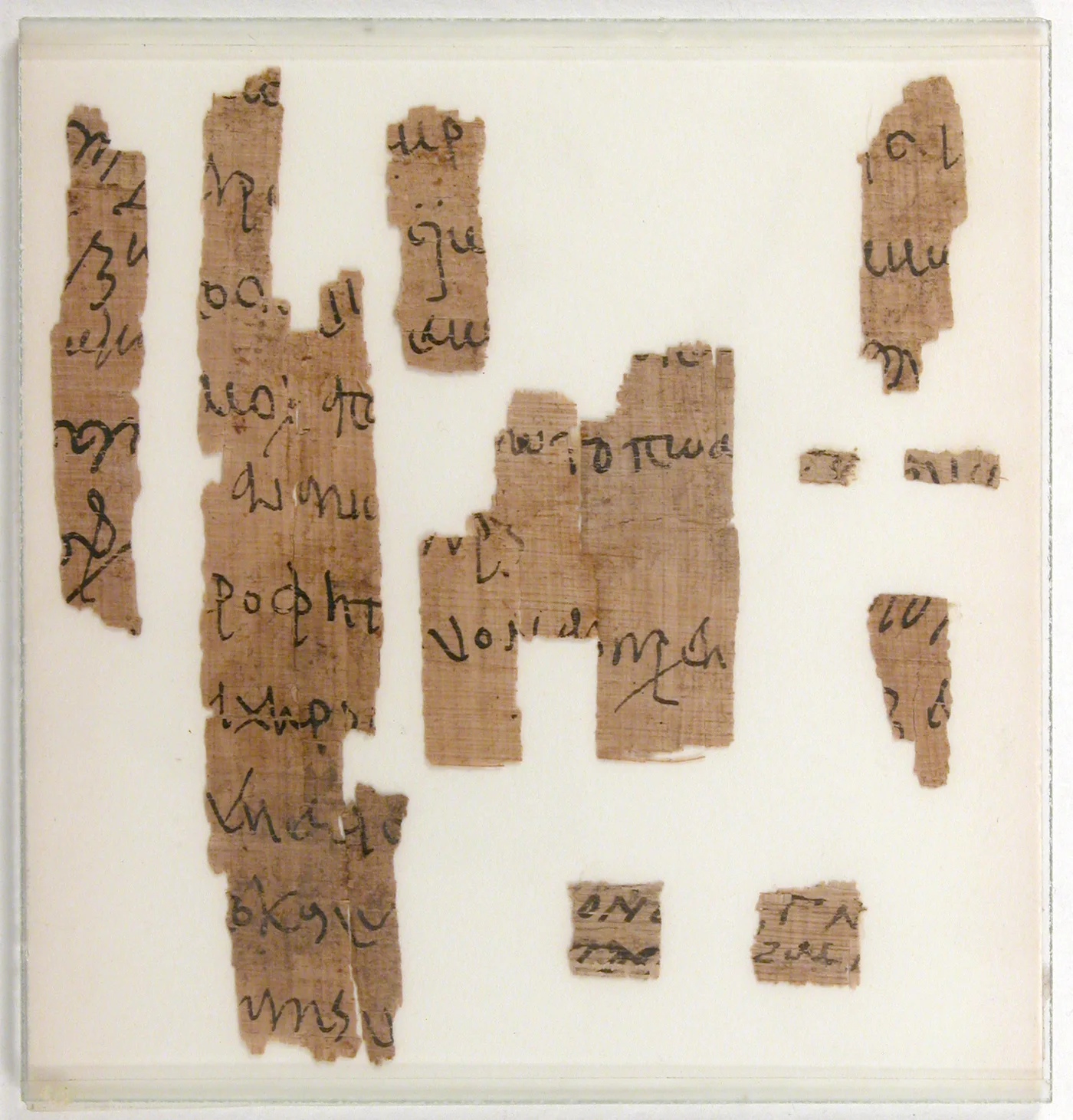 Mounted fragments of an ancient handwritten legal document on brown papyrus against a pale background