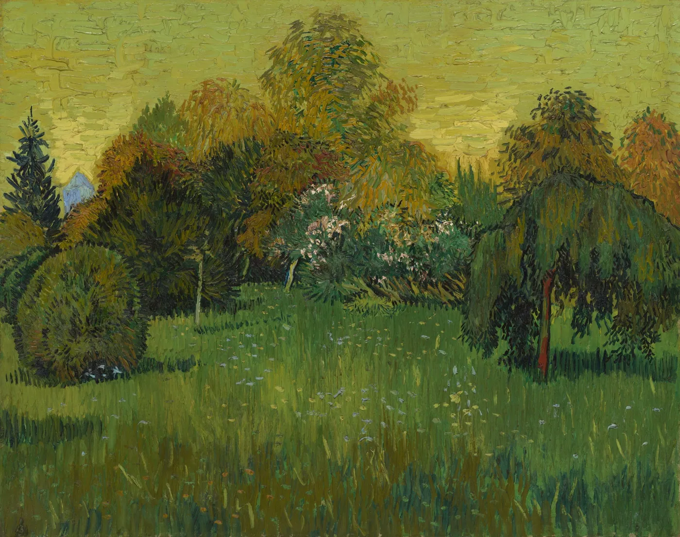 A sunlit garden with a green lawn, a weeping tree, round shrubs and flowering bushes beneath a golden-yellow sky.
