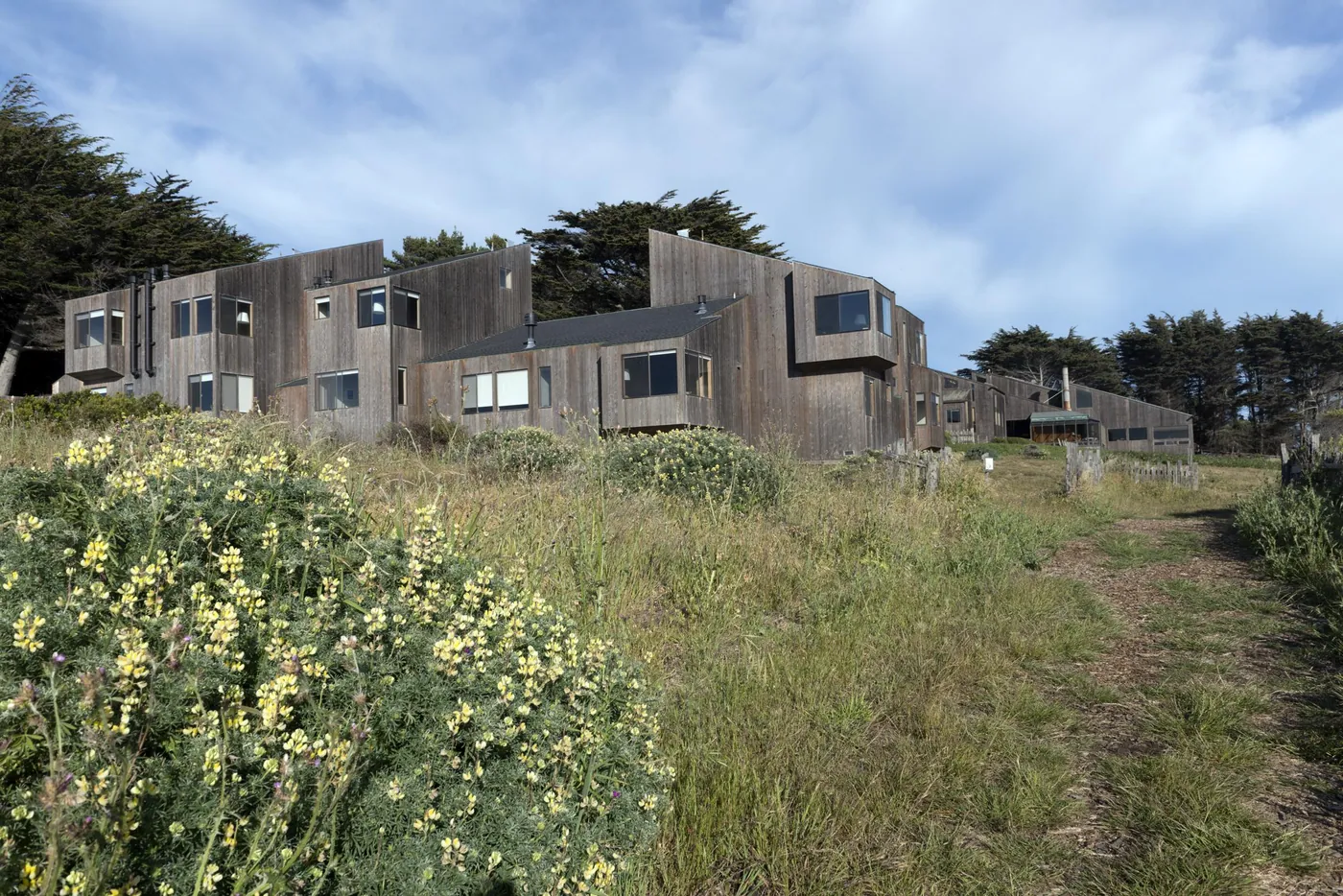 Weathered timber houses with angular rooflines behind a coastal meadow of yellow lupine and grasses under a blue, cloud-streaked sky