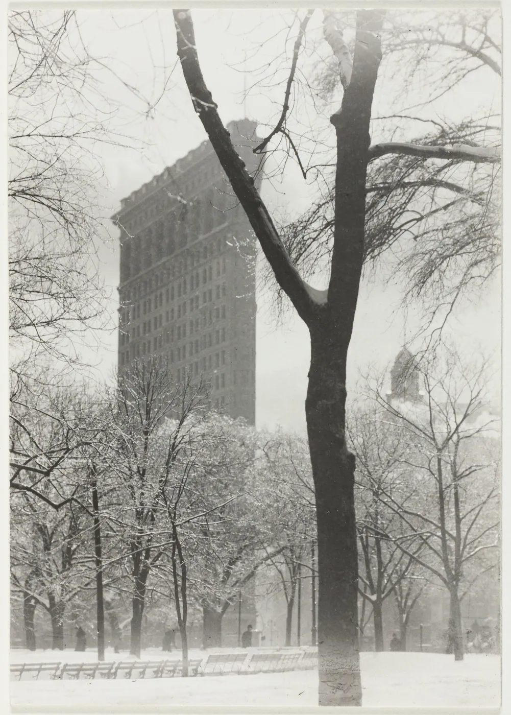 The wedge-shaped Flatiron Building rises through falling snow behind a dark forked tree and the white, bare trees of Madison Square
