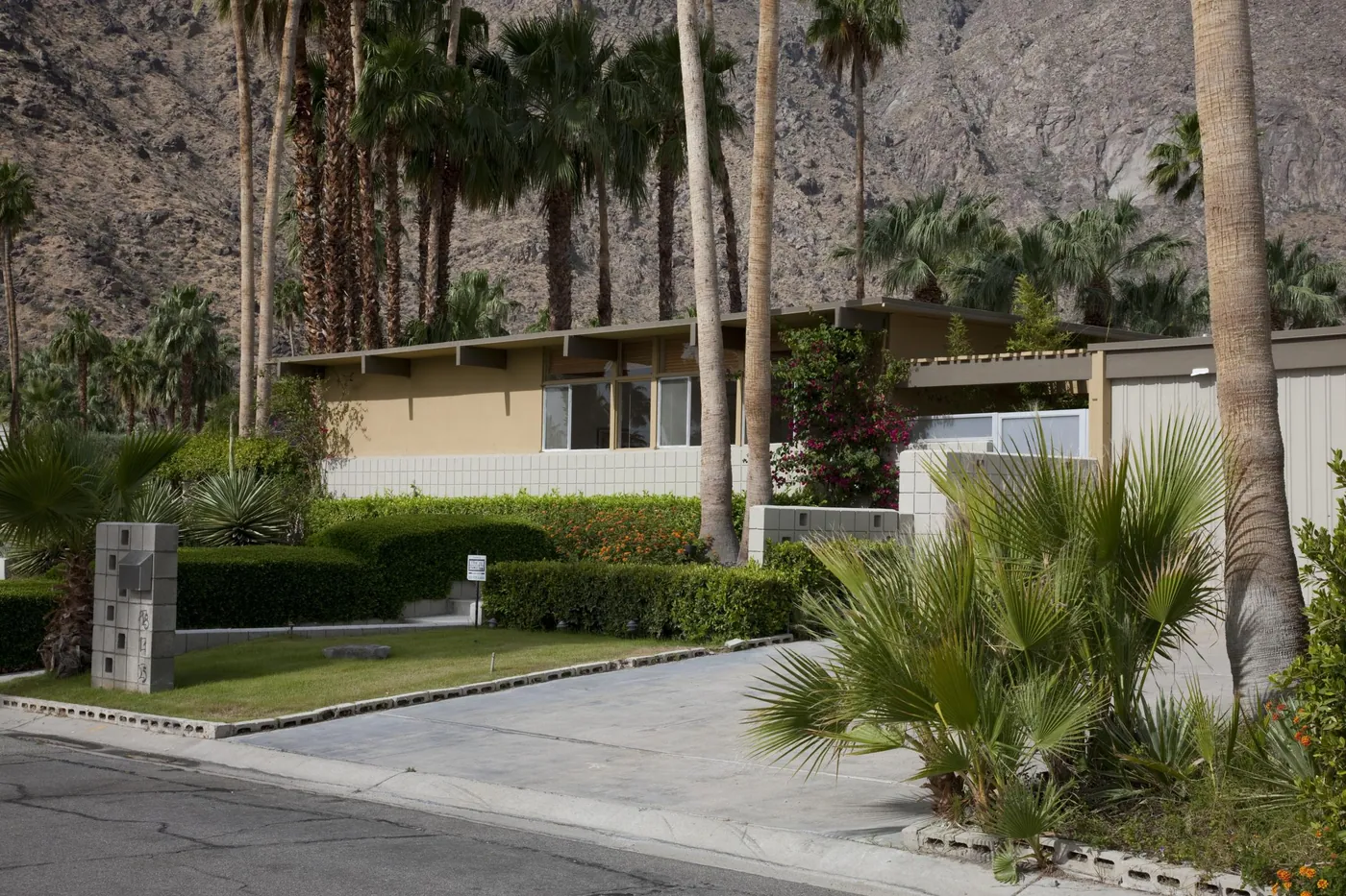Low-slung mid-century modern house behind clipped hedges, a lawn and fan palms, with tall palm trees and a rocky desert mountain behind