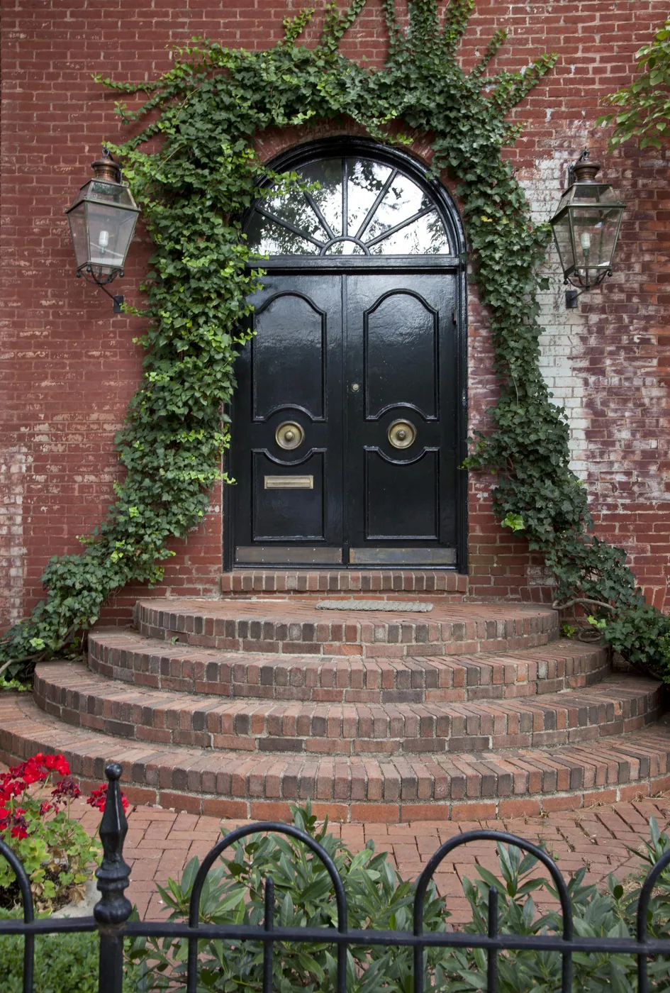 A glossy black double door under a fanlight, framed by climbing ivy and brass lanterns, above rounded brick steps and an iron fence.