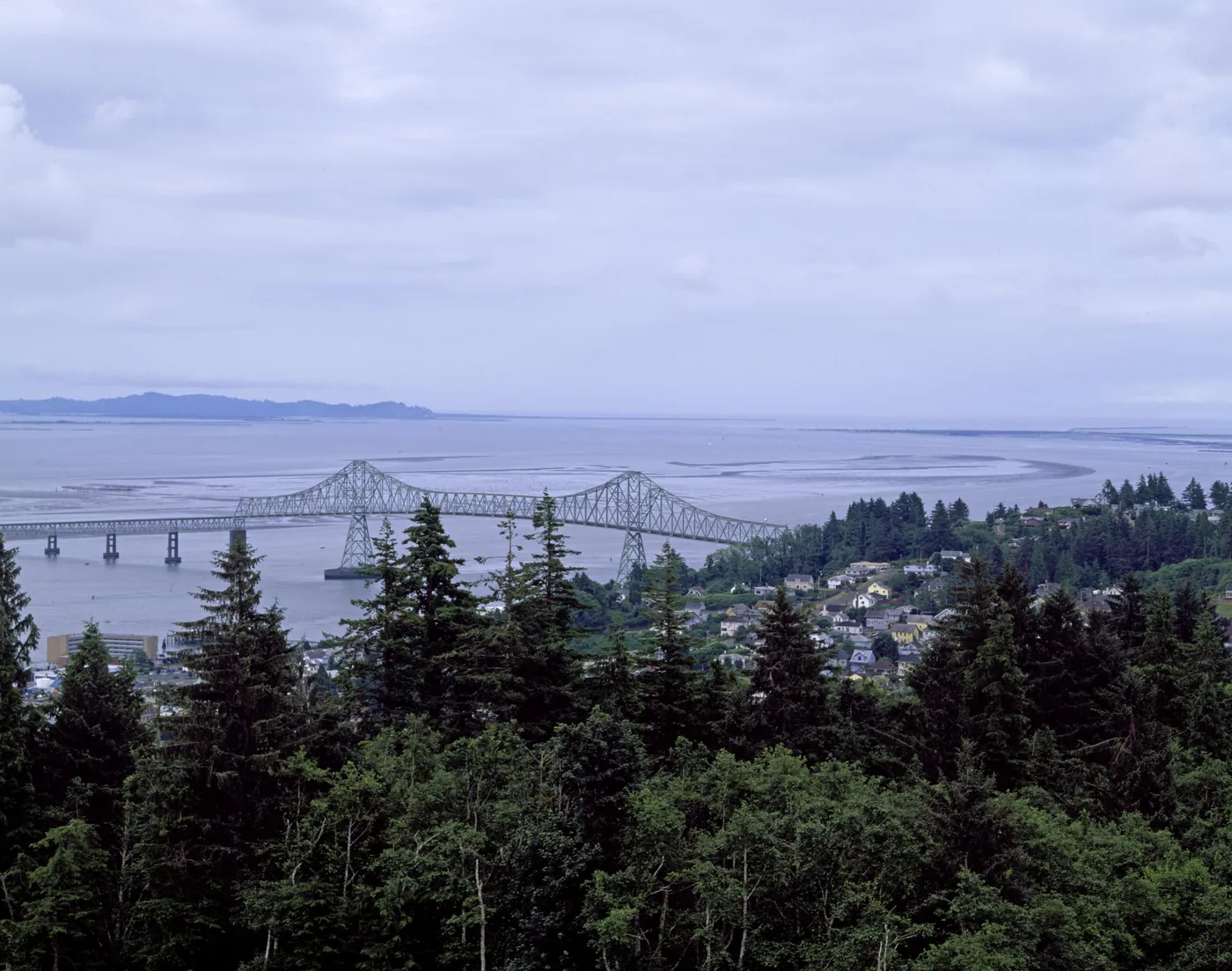 Long steel truss bridge crossing the wide grey Columbia River estuary under an overcast sky, seen over dark fir trees and hillside houses in Astoria