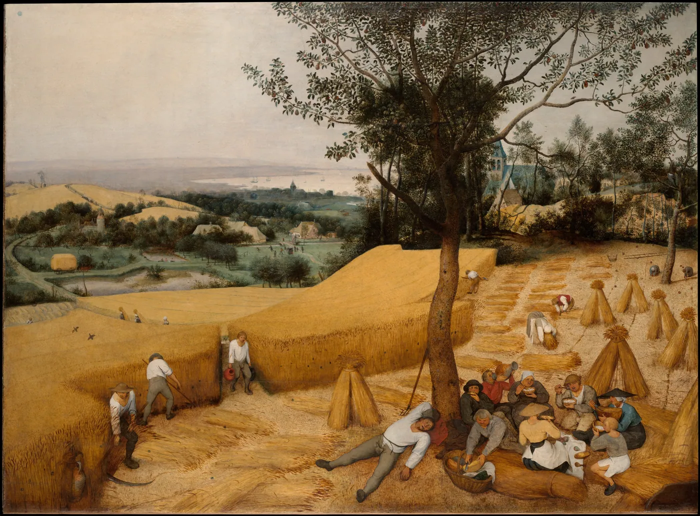 Golden wheat field at harvest, reapers cutting grain and tying sheaves while others rest and eat under a pear tree, a village and bay beyond