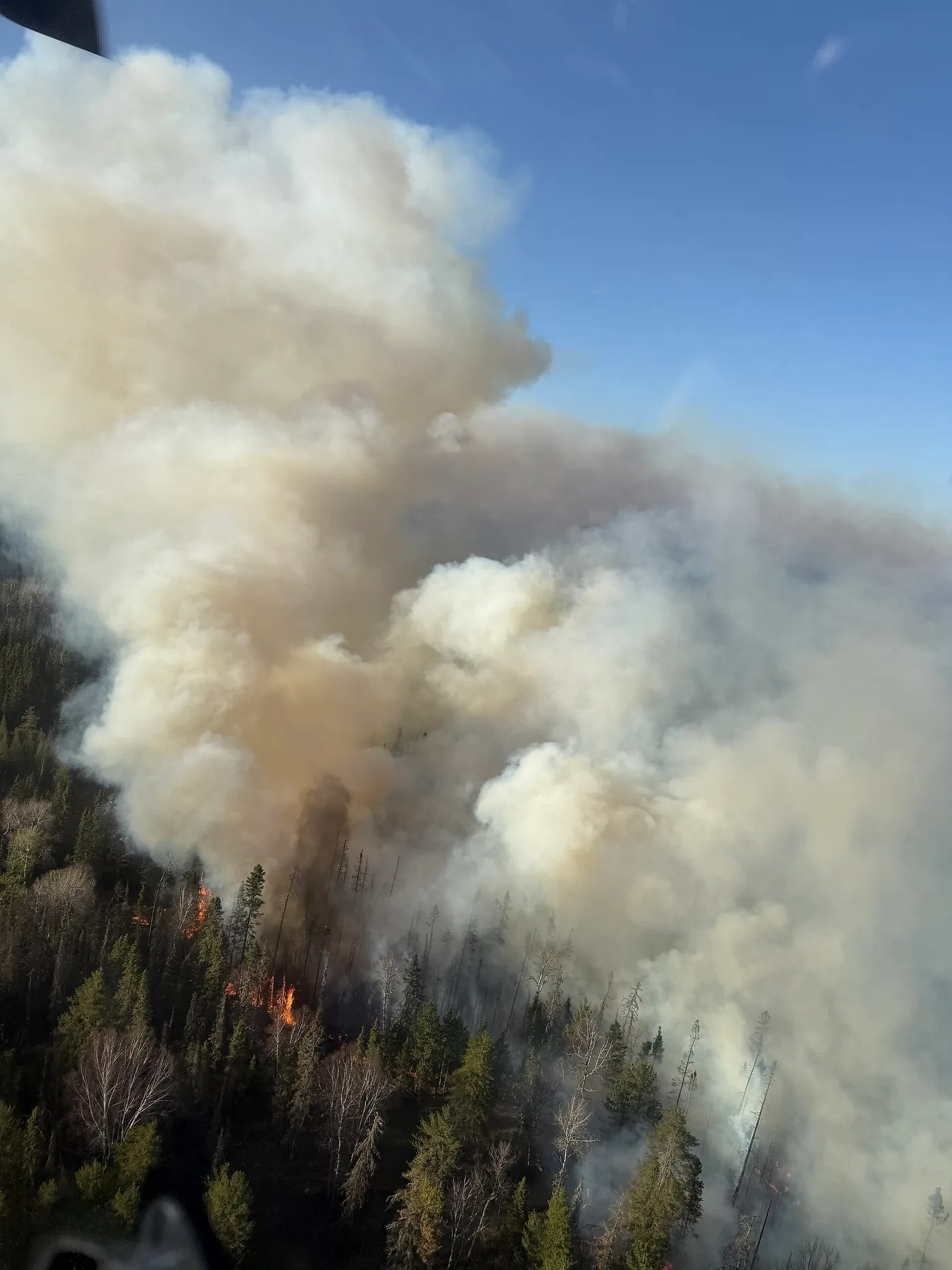 Dense white and brown wildfire smoke rising above a burning forest with small flames visible among the trees